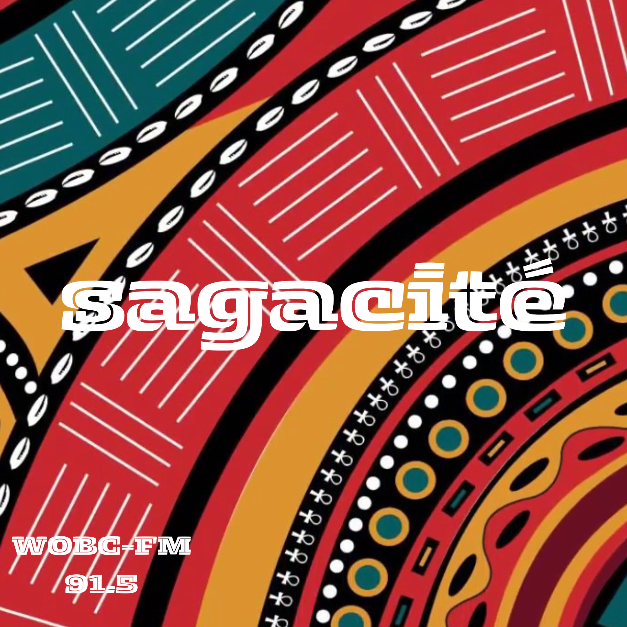 Image for Sagacité